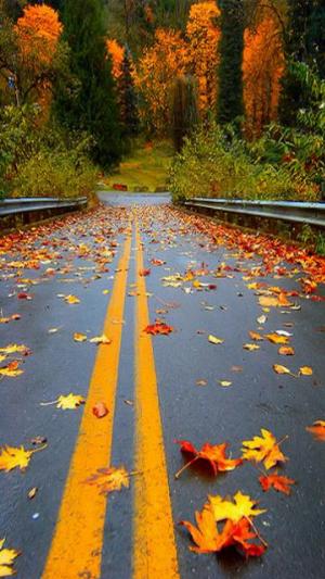 Autumn Nature.jpg Mixed